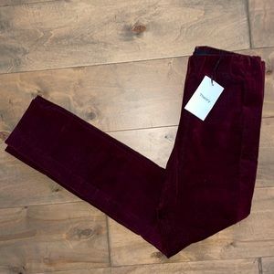 Theory Navalane Casual Velvet Pant in Dark Currant, Size 4
